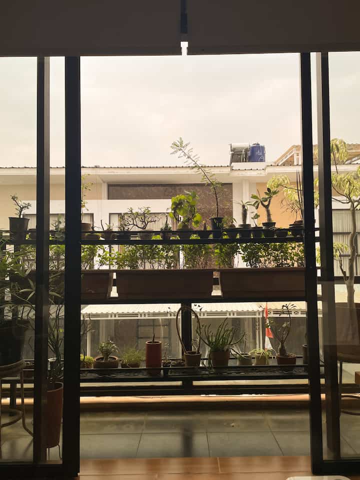 The balcony area is almost full of plant collections. Because the area is not too big, we have to be smart in choosing shelves that don't take up space 🌿🍃🌱 #balkon #houseplant #bedroom #exterior #smallbalconyidea #idebalkonkecil #balkonminimalis