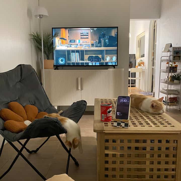 Suasana living room lengkap dengan para bochilll berbuluuu di malam hari 🫶🏻🫶🏻 #ikea #acehardware #nightsituation #livingroom #roomdecor