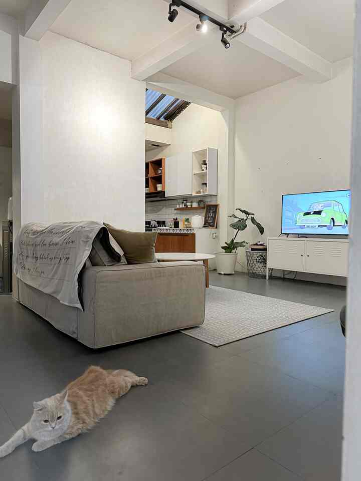Beige and gray toned living room featuring a beige sofa and carpet centrally placed, with a cat lying on the floor creating a natural atmosphere