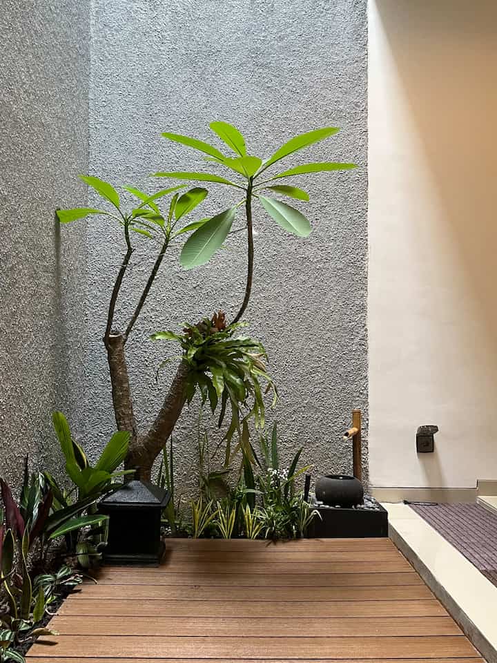 Taman tropis minimalis buat chill dan nongkrong bareng keluarga.

Perbanyak asupan oksigen dari anak ijo ☘️

#aestheticroom #aesthetichomedecor #homestlying #gardenindoor #wpc #depok #decoration #homedecor