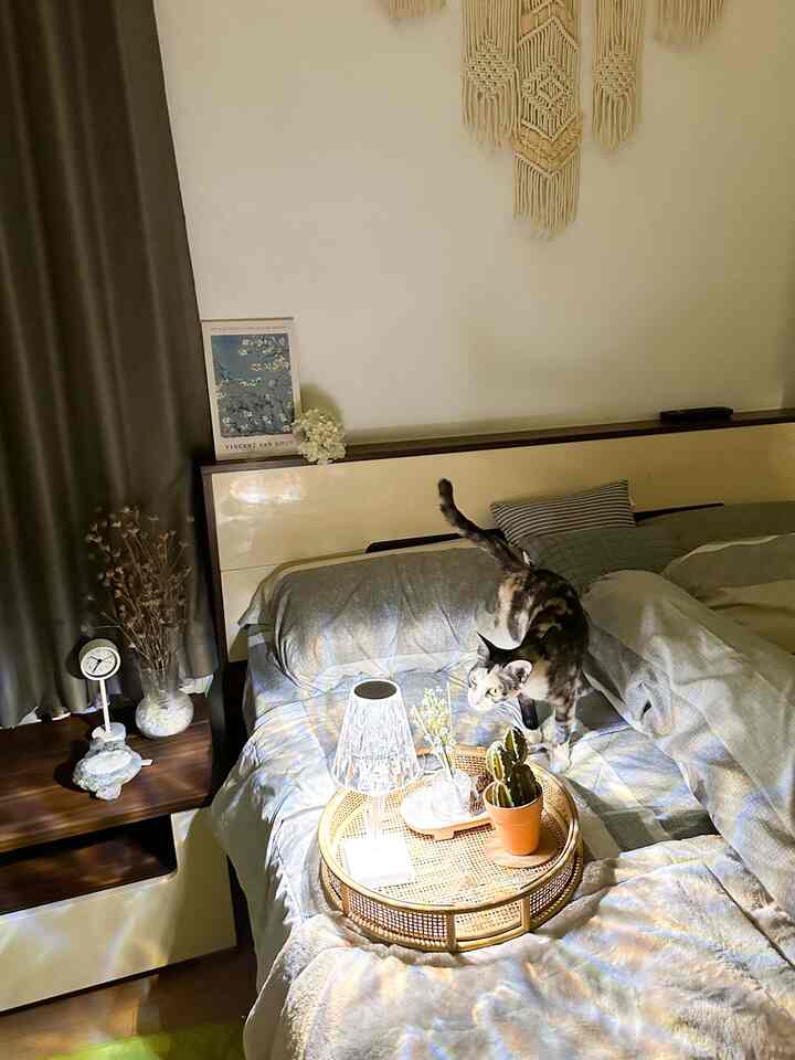 My cat, Cloudy wants to have pillow talk before sleep tonight, so I turn off all the lights in my bedroom, except the diamond table lamp. I think she likes the warm light so much ✨🐈

#nyamandiomah #cozybedroom #dekorasikamartidur #inspirasikamartidur #bedroominspo #nightvibe #catlovers 
