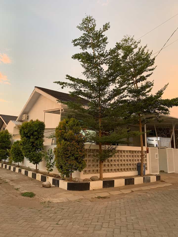 Fasad dan Teras 🏡

GH House baru aja punya nomor rumah setelah sekian lama 🤭 foto slide pertama diambil ketika sore hari. Atap kanopi sengaja dibuat letter L agar udara tetap bisa masuk ke rumah, sirkulasi udara tetap baik dan jika hujan air akan langsung mengenai heliconia dan pohon ketapang mini di pot panjang diantara pagar roster. Agar terlihat makin asri dan hijau, kami tambahkan karpet rumput sintetis dan lantai Terazzo pada teras

#facade #fasad #terasrumah #stylingteras #lowbudgetdecor
#rumahminimalis 