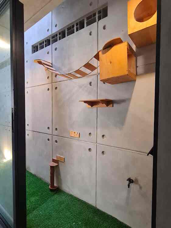 Cat playground
Tempat main untuk anabul kesayangan biar nyaman.. 😊

#catsroom #catplayground #cats #anabul #industrial #inspirasirumah #petparent

