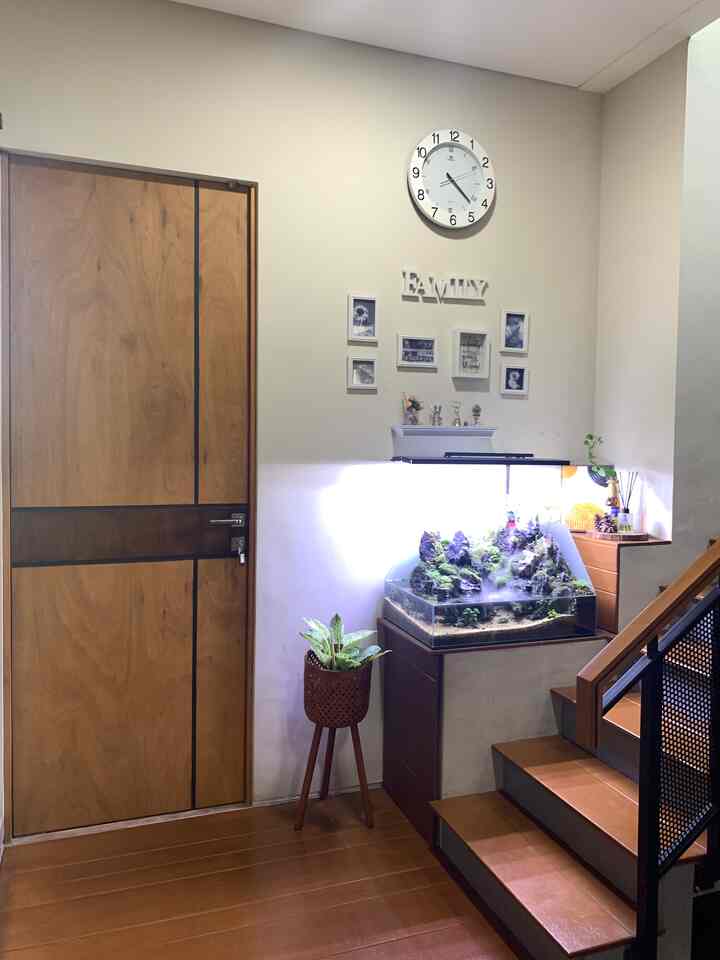Pojok hobby..
Bikin Paludarium salah satu hobby Paksu.
Memberikan Paludarium di sudut tersebut menjadikan point of view saat kita mau menaiki tangga.. Keberadaannya menambah estetika ruang dan bikin refresh saat kita melihatnya #paludarium #suduthobby #minimalistindustrial #aestheticcornerw