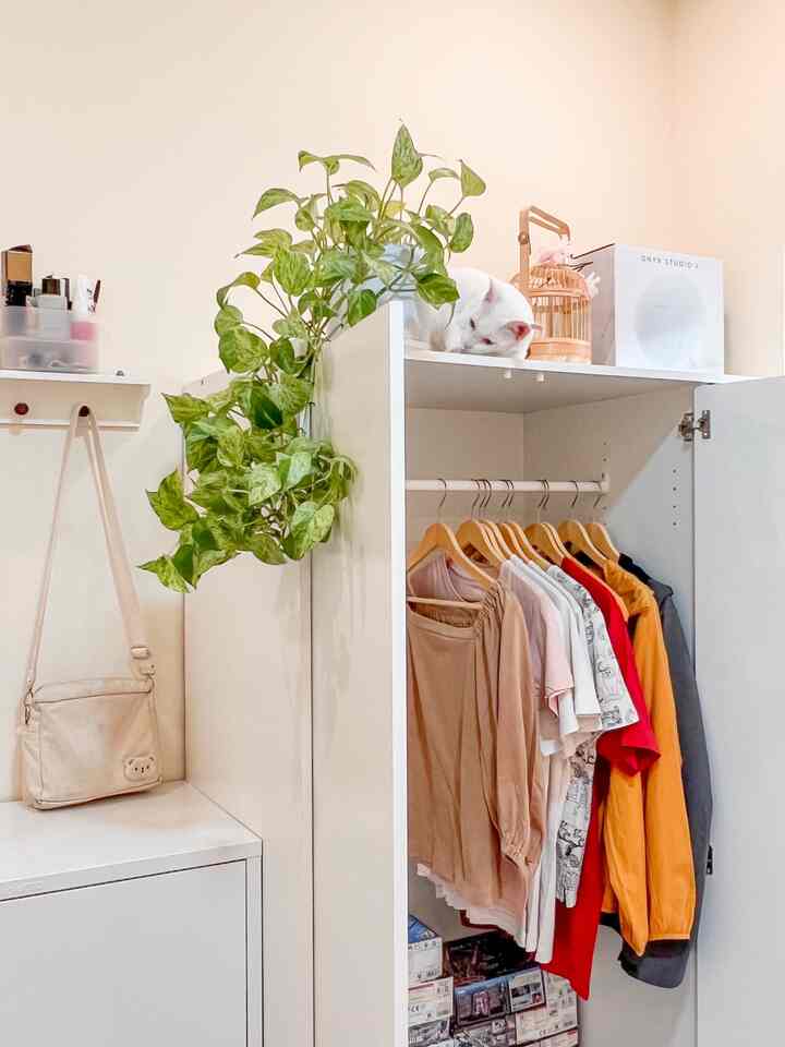 Spill dikit isi lemari baju. Aslinya lumayan berantakan. Tapi pakai hanger dan box estetik biar keliatannya senada ga terlalu nabrak warna.

#lemarikamar #wardrobe #storage #isilemari