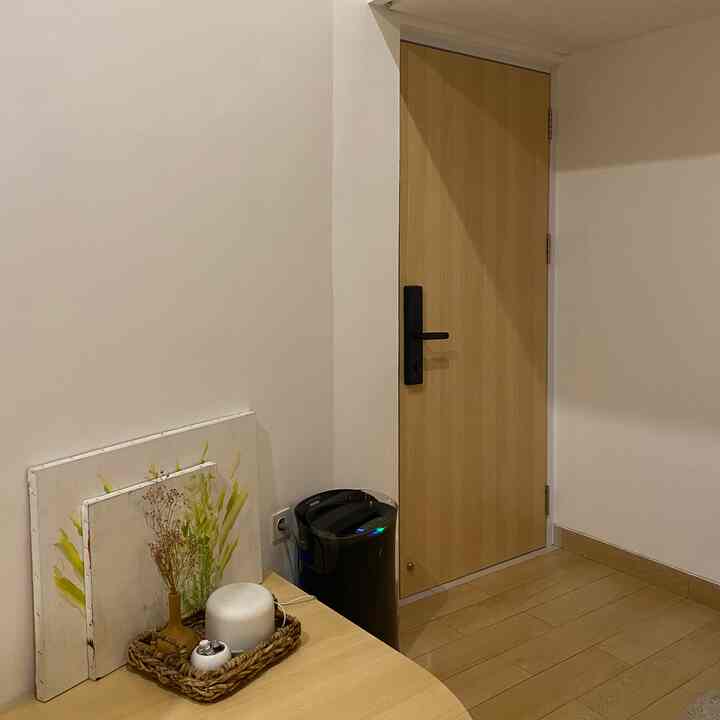 Cozy corner of a small room with warm wood tone door and floor, white walls, featuring diffuser and air purifier enhancing ambience