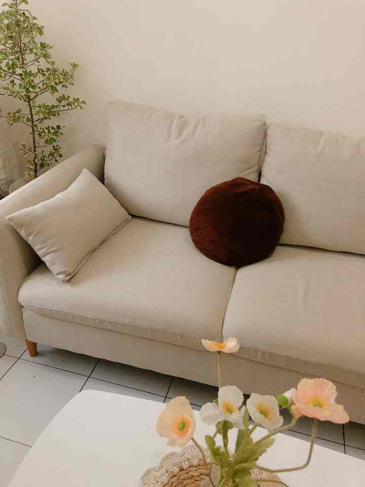 Beige-toned living room featuring a custom sofa with round cushion and a green plant, creating a cozy natural atmosphere