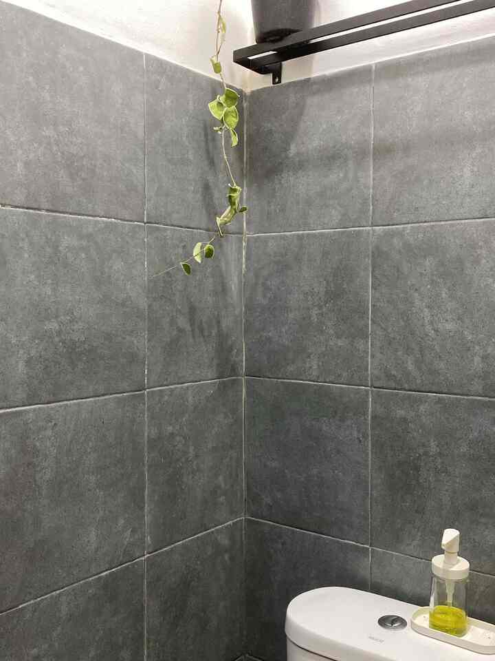 ~Kamar mandi tamu~

#kamarmandi
#kamarmandiminimalis
#kamarmandiabu-abu
#dekorisakarmandi
#idedekorisakarmandi
