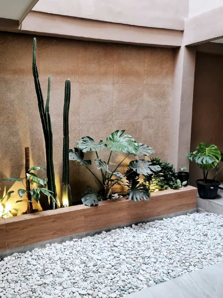 昼☀️と夜モードのミニ中庭🌛
#ミニガーデン #innergarden #garden #indoorgarden #gardeninspo #innercourtyard #inspirasitaman #inspirasitamandalamrumah #tamandalamrumah #tamankecil