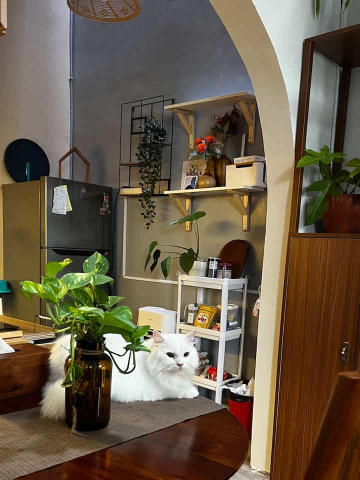 We are still in the process of changing the mood color from dark wood tones to warmer and brighter, so just take a photo first.
Hopefully the renovation process can run smoothly
#renovation #woodtone #bohemian #midcentury #bsd #smallrooom #serpong #industrial