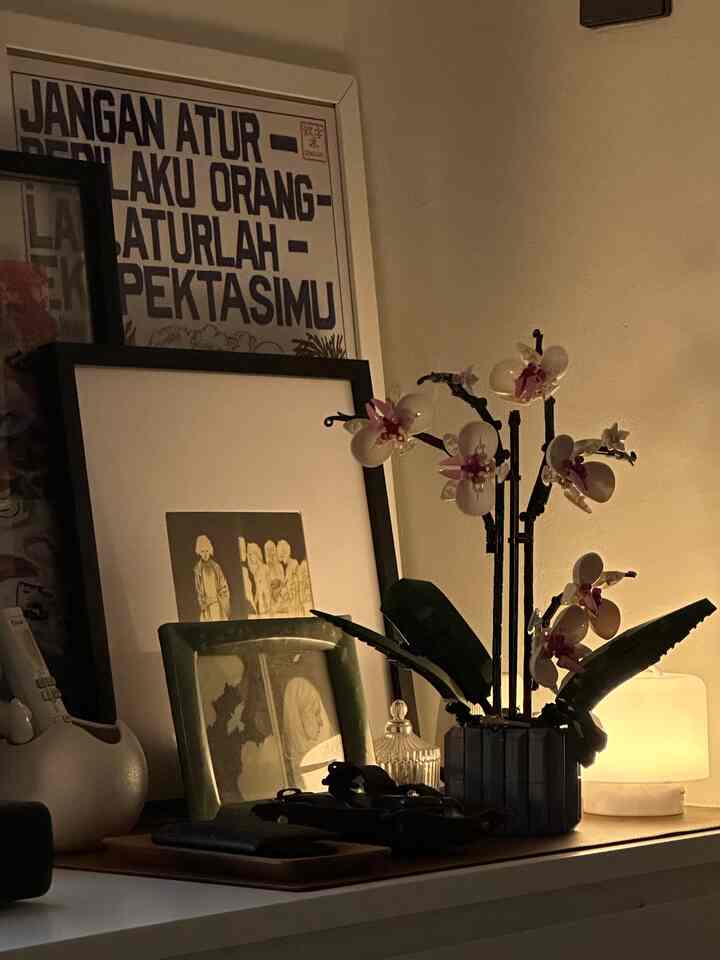 Ritual sebelum tidur, nyalain lampu, reed diffuser, nyalain musik..

#NightVibe #LightingIdeas #LightingInspiration #studioapartment #tinyliving