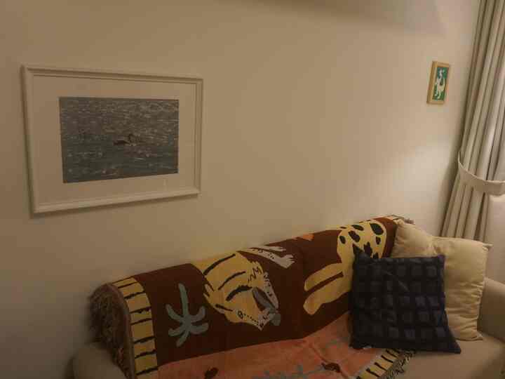 White-walled studio apartment space with beige sofa accented by a tiger motif throw blanket and cushions creating a cozy living area
