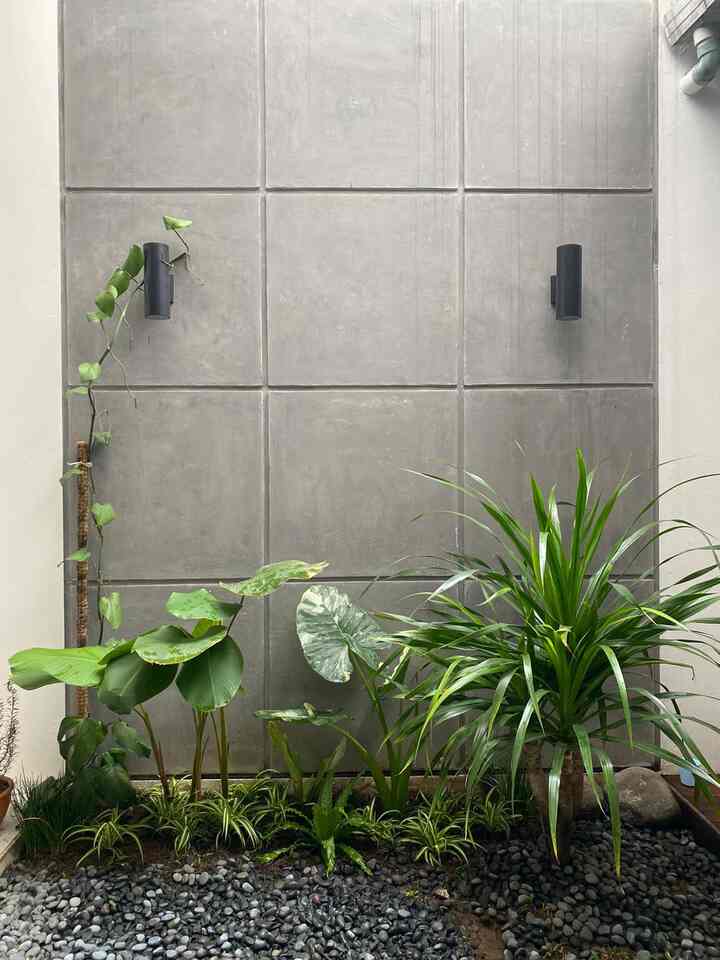 Backyard~

Yang awalnya hanya ditanam bagian rumput & pohon palem, akhrnya berubah jadi tanaman tropis 😆… 
Tapi kayanya next bakalan ganti lagi deh 😅

#taman
#tamanbelakang
#backyard
#tanamanhijau 
#tamantropis
#inspirasitamanbelakang
