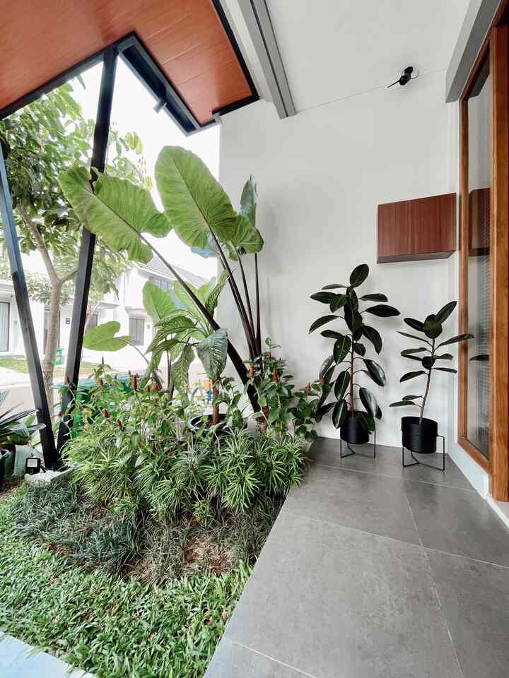 Area taman depan tetap dimanfaatkan untuk green area, sehingga desain kanopi juga di sesuaikan agar cahaya matahari bisa menjangkau tanaman di bawahnya.

Area dalam rumah dan teras depan dibatasi bukaan jendela kaca dan pintu kayu jati. Material kaca yang dipakai pada sebagian pembatas ruangan membuat cahaya matahari bisa lebih banyak masuk ke dalam ruangan - pagi dan siang. 

Elemen kayu (lagi-lagi) ditemukan di berbagai sudut rumah. Mulai dari tirai bukaan jendela, bagian langit-langit kanopi, dan sejumlah furnitur dapat memberi nuansa hangat di sekelilingnya. 

#tamanmungil
#minigarden
#rumahdeveloper
#rumahmungil 
#naturaldesign
#moderncontemporary