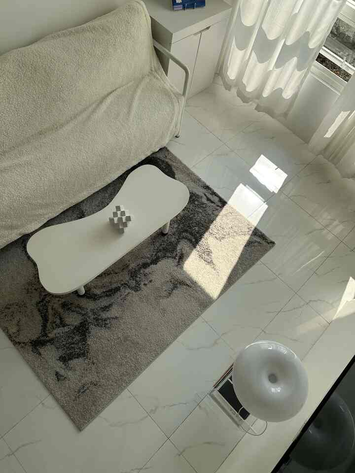 A white and gray toned small living room featuring a white sofa and uniquely shaped coffee table, showcasing a modern and minimal atmosphere