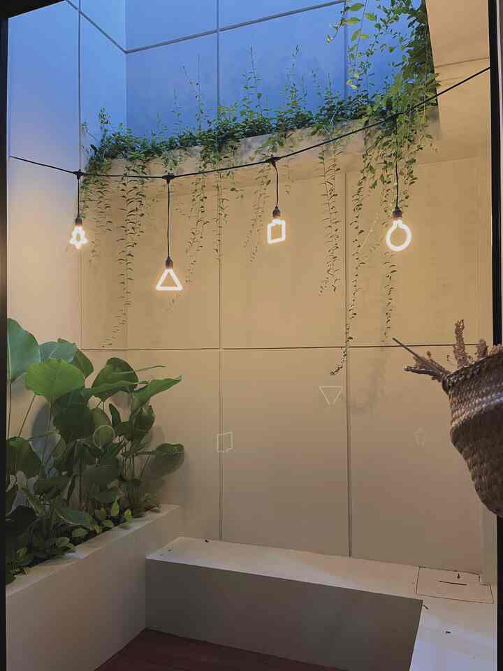 Bright white and natural green plants in veranda space, cozy string lights and bench blend harmoniously