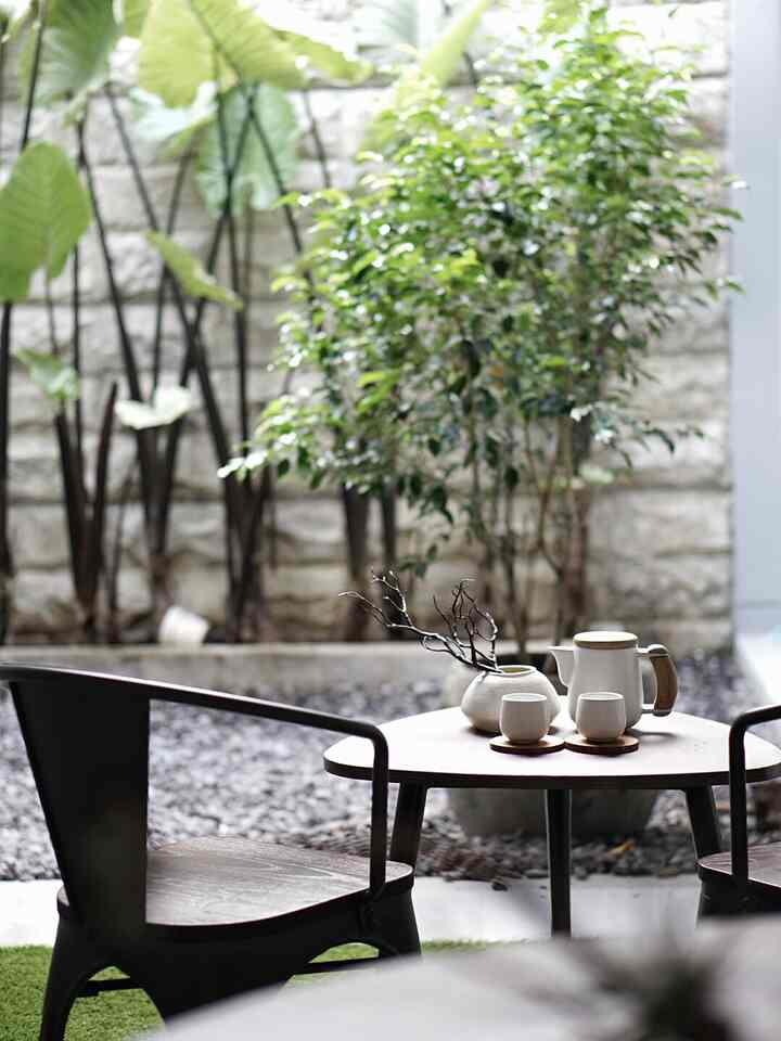 Natural tones and green plants enhance the terrace with outdoor table and chairs set, creating a cozy home cafe space