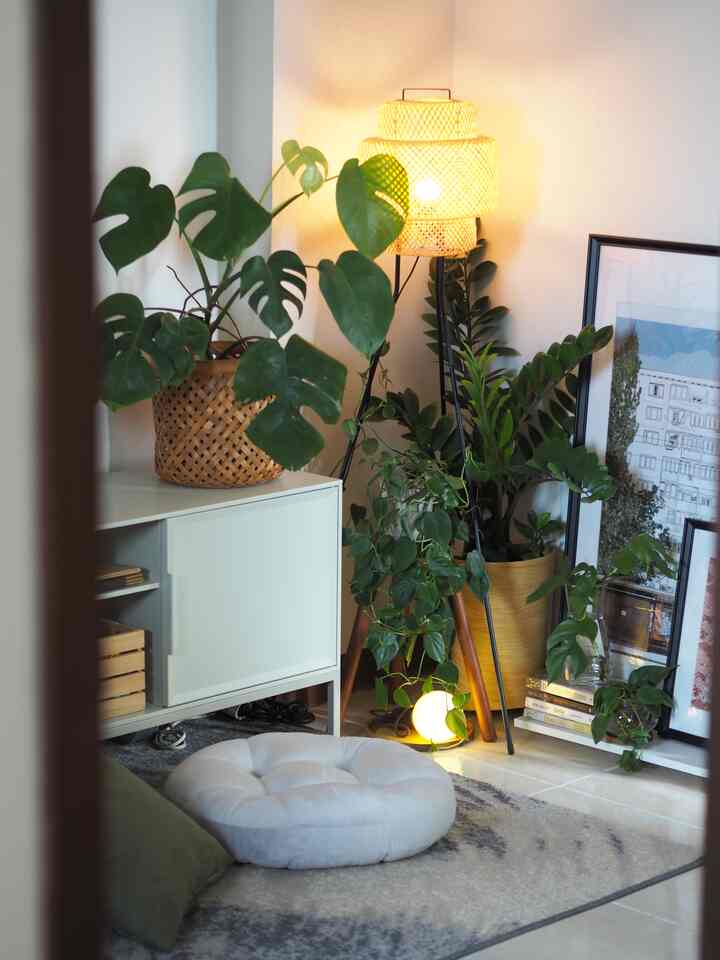 Menciptakan sudut yang nyaman dengan tanaman – tempat yang sempurna untuk bersantai dan melepas penat! 🌿✨ #plantcorner #cozyvibes #roomdecor #tinyapartment #selasarapt