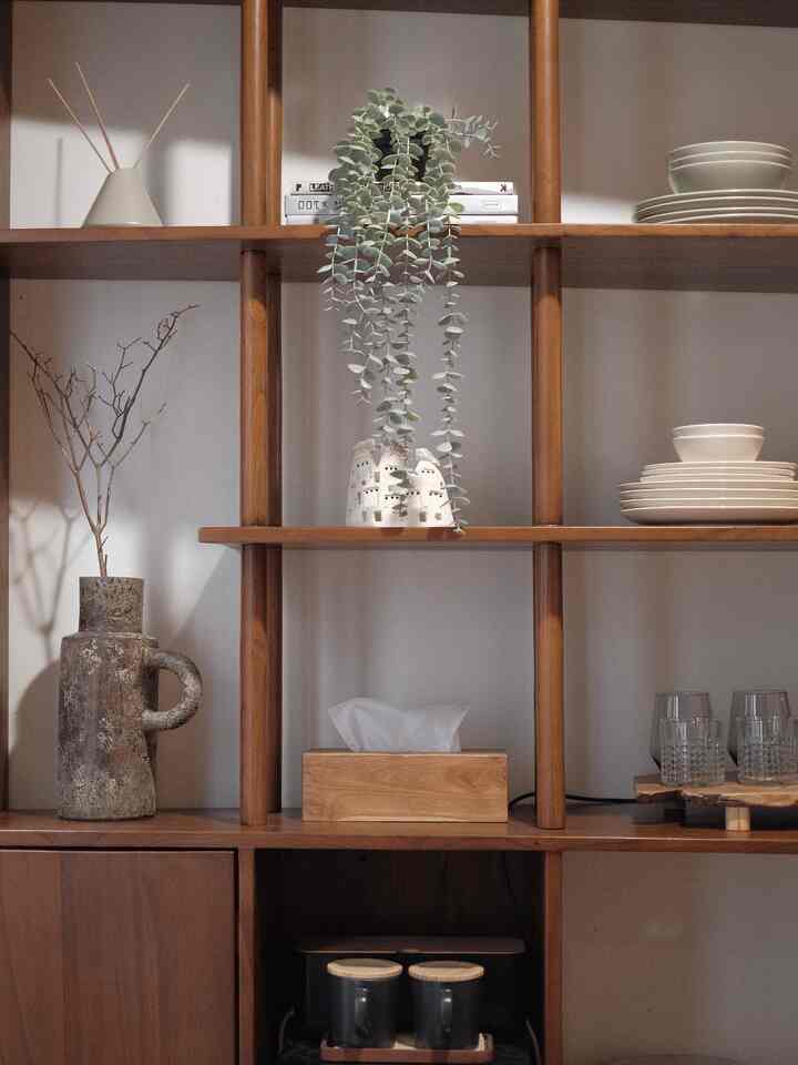 Wood tone natural dining room shelves featuring tableware and decorative plants creating a cozy atmosphere