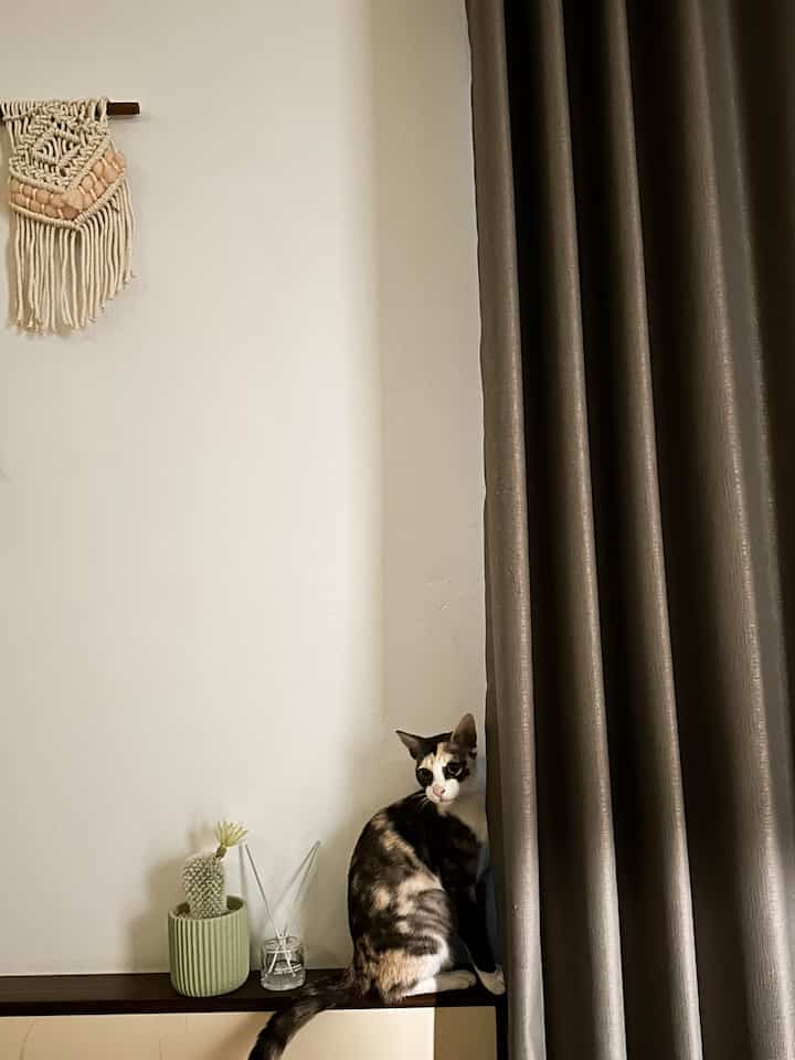 Bedroom nuance at night🌛

#nyamandiomah #bedroominspo #bedroomatnight #nightvibes #scandinavian #catlovers 