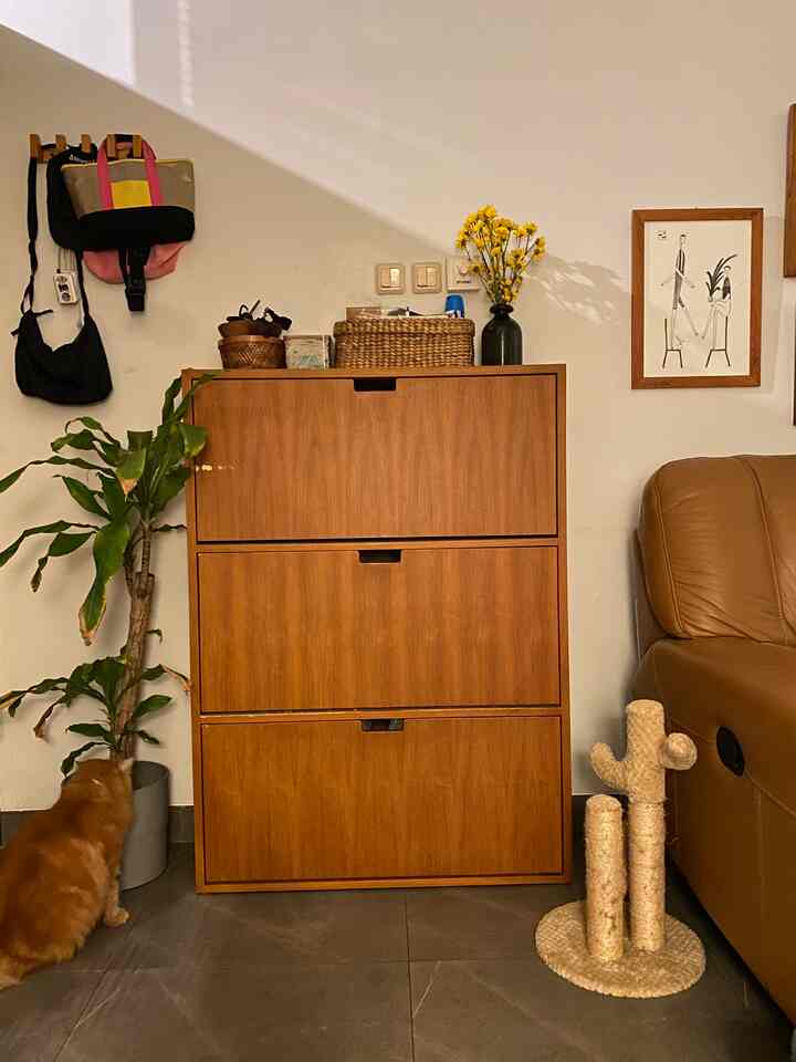 Isinya sepatu-sendal. Ada berapa banyak? Banyak banget🤭 #rumahminimalis #mainankucing #raksepatu #tanaman #rotan #skandinavianstyle #japanesestyle