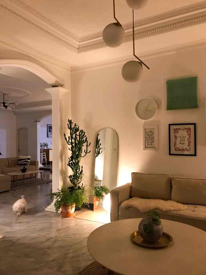 Ada rencana buat ganti beberapa art print di ruang tamu ini jadi cuma 1-2 aja tapi ukurannya besar supaya tidak terlalu rame. Masih bingung karena belum ada gambar yang cocok. 

#homedecoration #midcenturymodern #livingroom #livingwithpets #pawparent #indoorplant #rumahsatulantai #interiorruangtamu #oldhouse