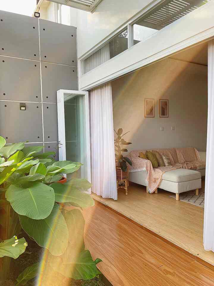 Halaman belakang mini di rumah kami. Menyegarkan mata dan hati🤎

#halaman belakang #minigarden #plants #rumahminimalis #scandinavianhome #rumahcluster #splitlevelhouse #housewithchildren