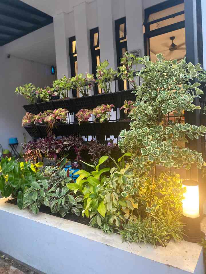Memaksimalkan lahan dengan membuat vertical garden di taman yang seuprit 🥰
#tanamanhias #minigarden #tamankering #tamankecil