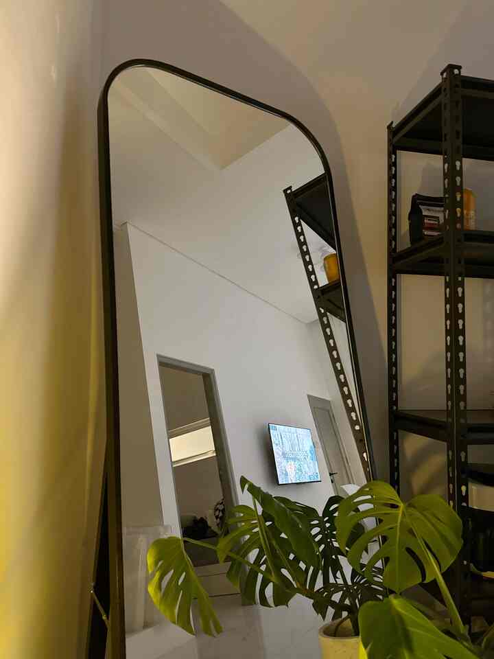 Minimal living room corner with white walls and black metal furniture featuring a Monstera plant as accent