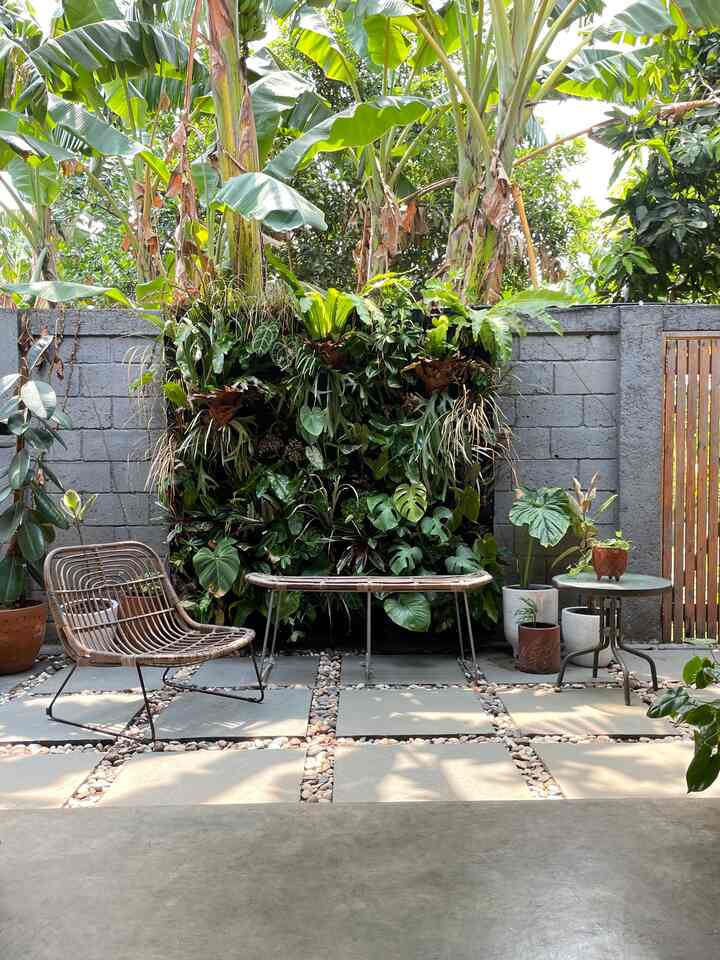 Vertical garden in our backyard🍃🌿🪴
.
First timer pakai jasa garden landscape untuk setting tanaman, biasanya aku cacah atau beli tanaman sendiri karena salah satu hobi ku adalah merawat tanaman ☺️🫶🏻
-
Aku memilih vertical garden untuk dekorasi teras belakang karena selain sebagai penahan panas matahari, mengurangi polusi udara, meningkatkan suplai oksigen, meredam polusi udara, dan bikin teras bisa auto cantik dgn minim perawatan🍃✨
-
#KNSLiving
#MyHomeJourney
#MyHomeStory
#HomeSweetHome
#VerticalGarden
#HomeInspo
#InteriorIdeas
#DiningRoomInsporation
#ohouse 
#ohouseidn
#rumahtumbuh 
#growinghome 
#homedecoration 
#homeinspiration 
