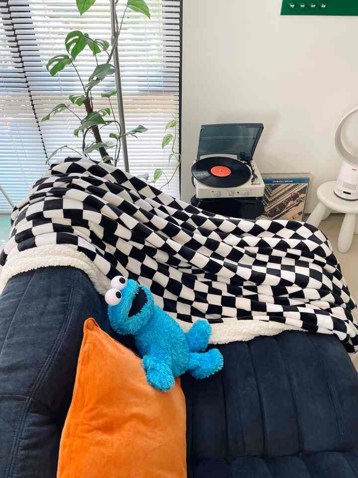 Monotone and navy-toned living room featuring a checkerboard throw on a 2-seater sofa with a large curvy mirror, creating a cozy atmosphere