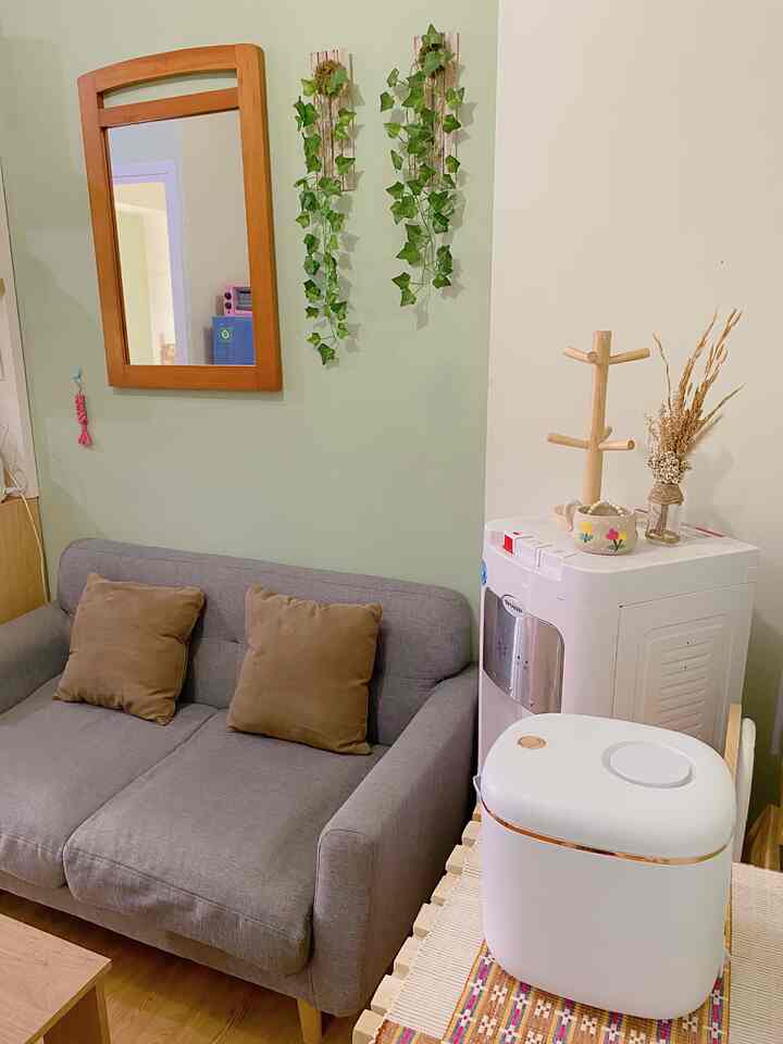 Natural living room with gray sofa and brown cushions, wooden framed mirror, and hanging green plants creating a cozy atmosphere