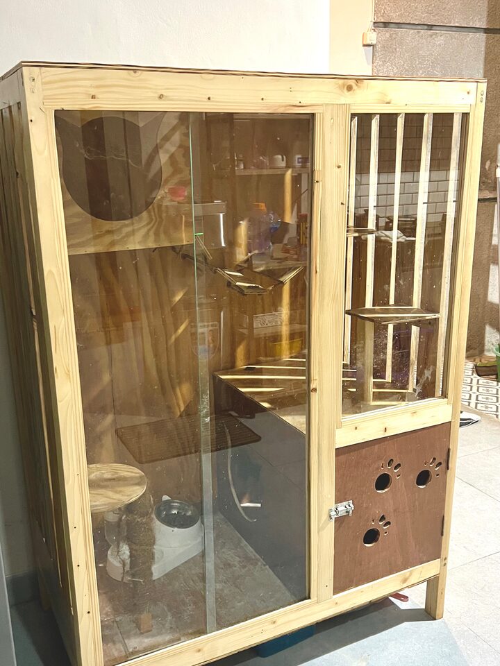 short form carousel card thumbnail