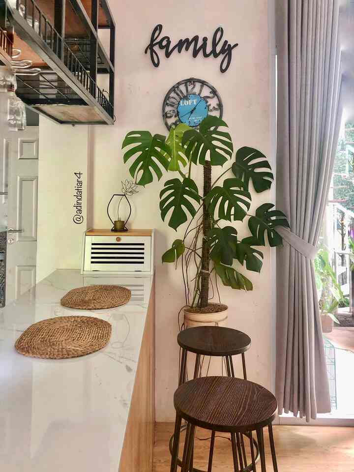 White and gray toned living room featuring wooden bar stools and large potted plant with a modern natural atmosphere