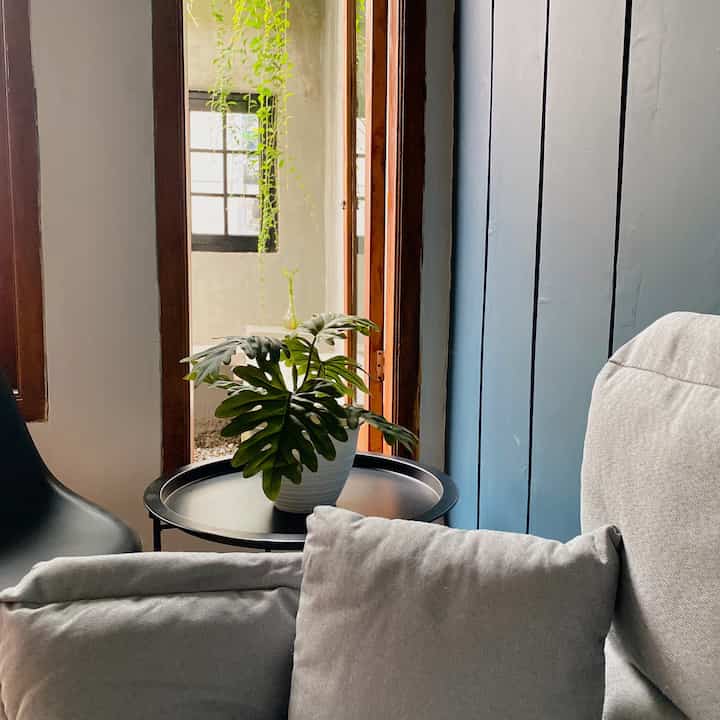 Black and gray toned living room corner featuring a gray sofa and black side table with a potted monstera plant