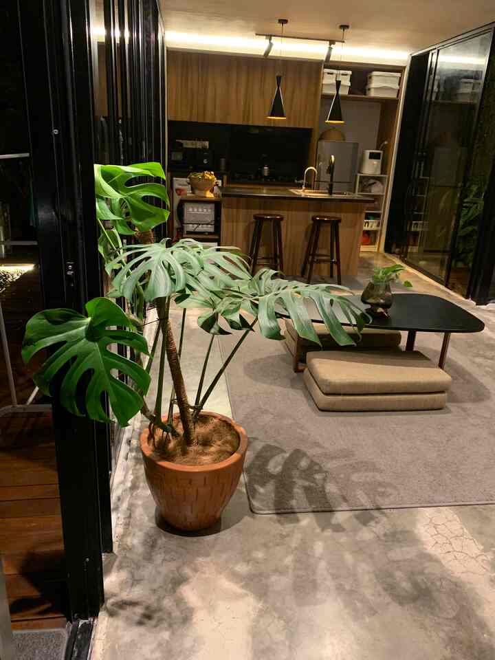 Hal-hal kecil yang membuat ruangan Anda nyaman✨
#ruang tamu #industrial #whiteinblack #dekorasiruangtamu #inspirasi #tanaman