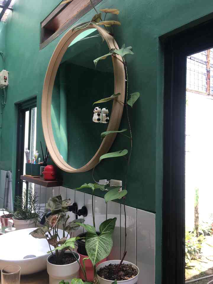 Morning situation 😌😌
.
#morning #skylight #servicearea #tanaman #rumah #favorite #ceritarumakami #dekorrumah