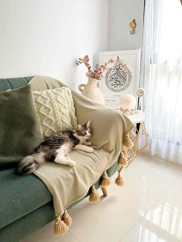 Musim panas, kucingnya sedang bersantai di sudut ruang tamu 🐈🤍
Bingkai Ayat Tahta, ditata menyatu dengan vas pedesaan, jam meja & pengeras suara Al-Qur'an. Menciptakan nuansa tenang dan hangat, apalagi dengan kehadiran kucing kecil yang lucu.

#nyamandiomah #livingroom #livingroominspo #livingroomdecor #dekorasiruangtamu #lowbudgetdecor