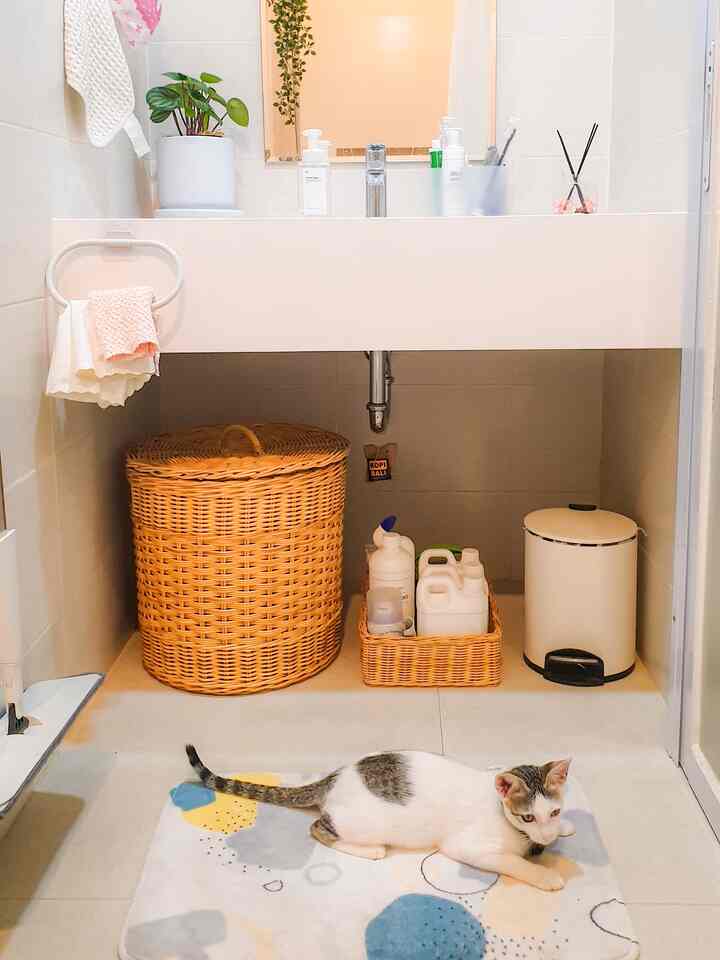 Natural-toned bathroom under-sink area featuring rattan storage baskets, a white trash can, and a cat resting on a patterned bath mat, creating a tidy space
