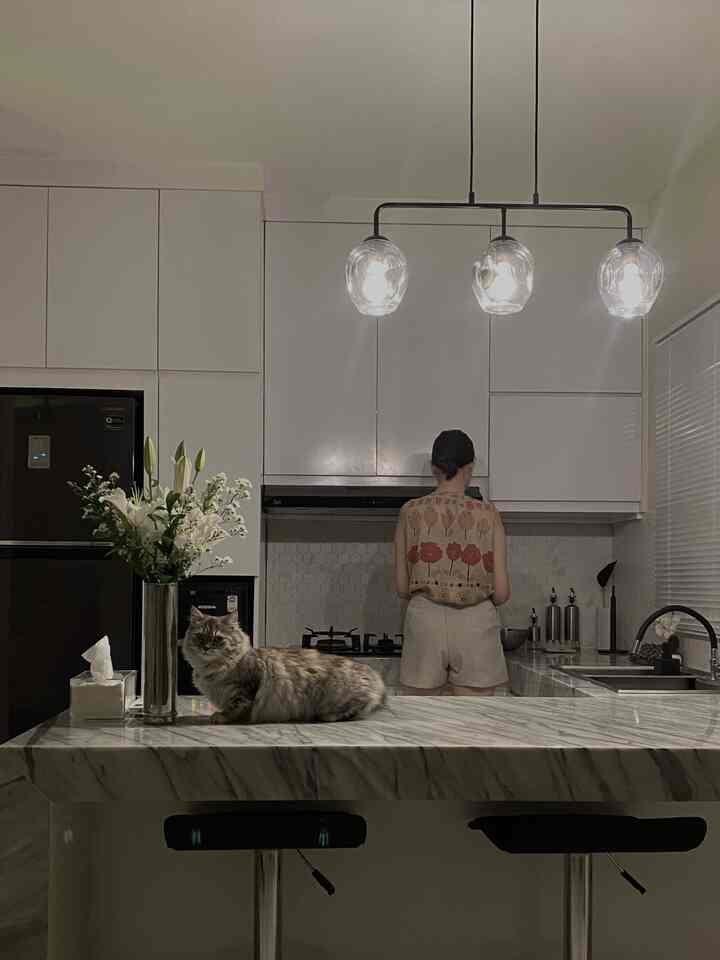 Kali ini berpindah ke area dapur, salah satu tempat favorit saya buat nongkrong di rumah sambil ngopi. Warna silver, putih dan abu abu lebih mendominasi di area ini 

#myhomejourney #kitchenarea #homedecorinspo #kitchenbar #aesthetichomedecor