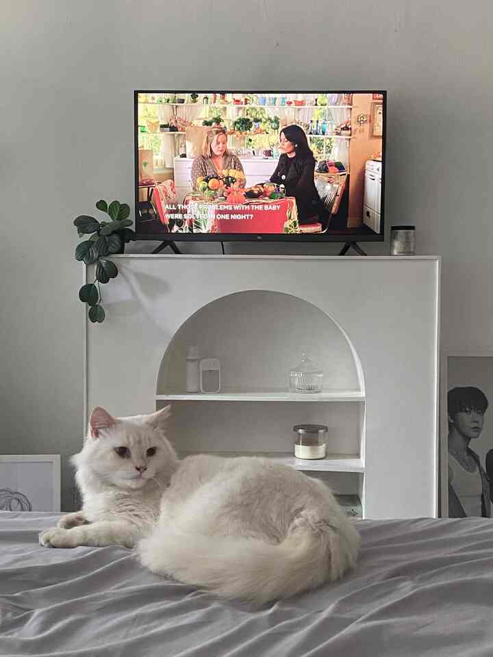 minggu bersama meng🐱🐈🐈‍⬛
#minimalist #bedroom #tangsel #kamarputri #koreanstyle #livewithparent