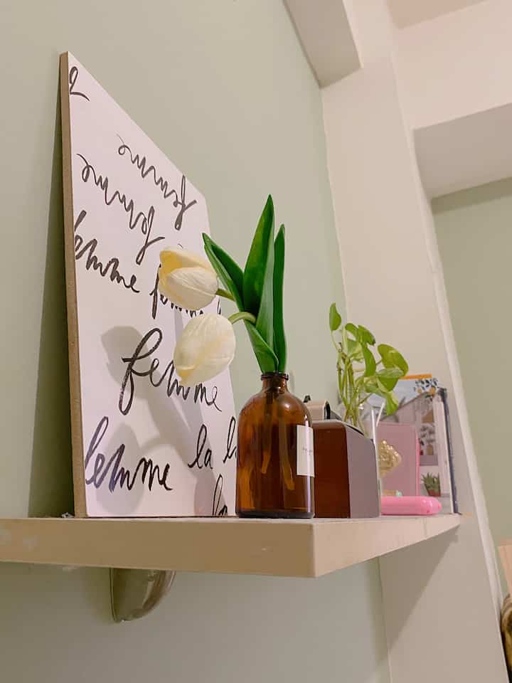 Cozy interior space with light green walls, brown vase, and small plants placed on a shelf