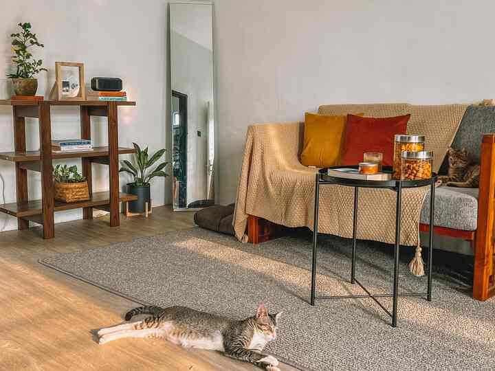 Suasana sore hari di area livingroom🧡
#TheMostUpliftingLivingRoom
#InspoChallenge