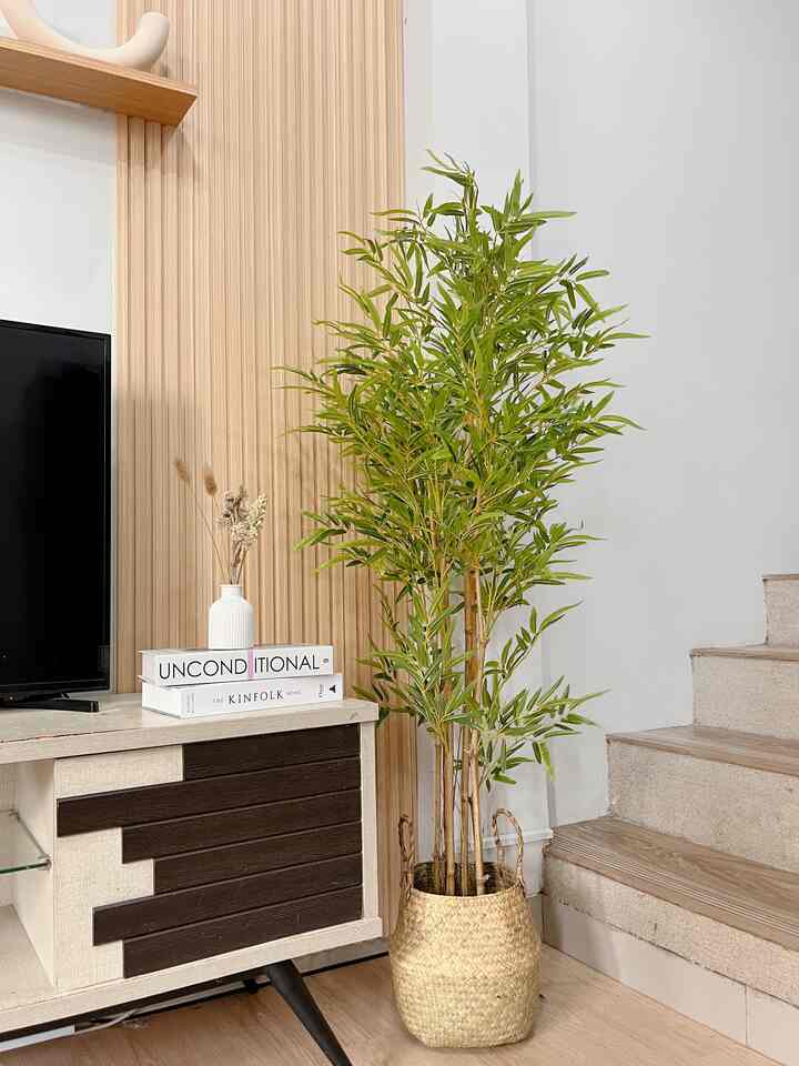 Secantiiik itu pohon bambu artificialnya, daunnya rimbun, batangnya kokoh 🫶🏻
.
.
#inspirasiruangtamu
#livingroom
#pohonartificial
#pohonbambi
#homedecor