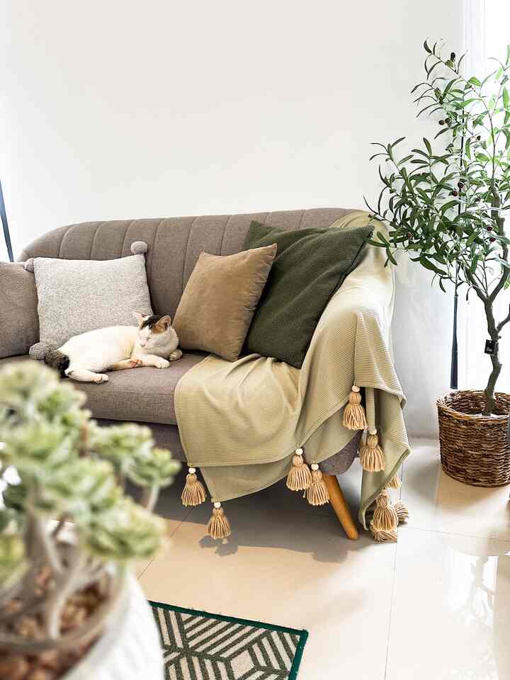 Tassel Throw Blanket & Cushion dengan warna senada dapat memberikan kesan nyaman pada sofa ruang tamu 🛋️✨
#nyamandiomah #livingroom #ruangtamu #inspirasiruangtamu #dekoruma