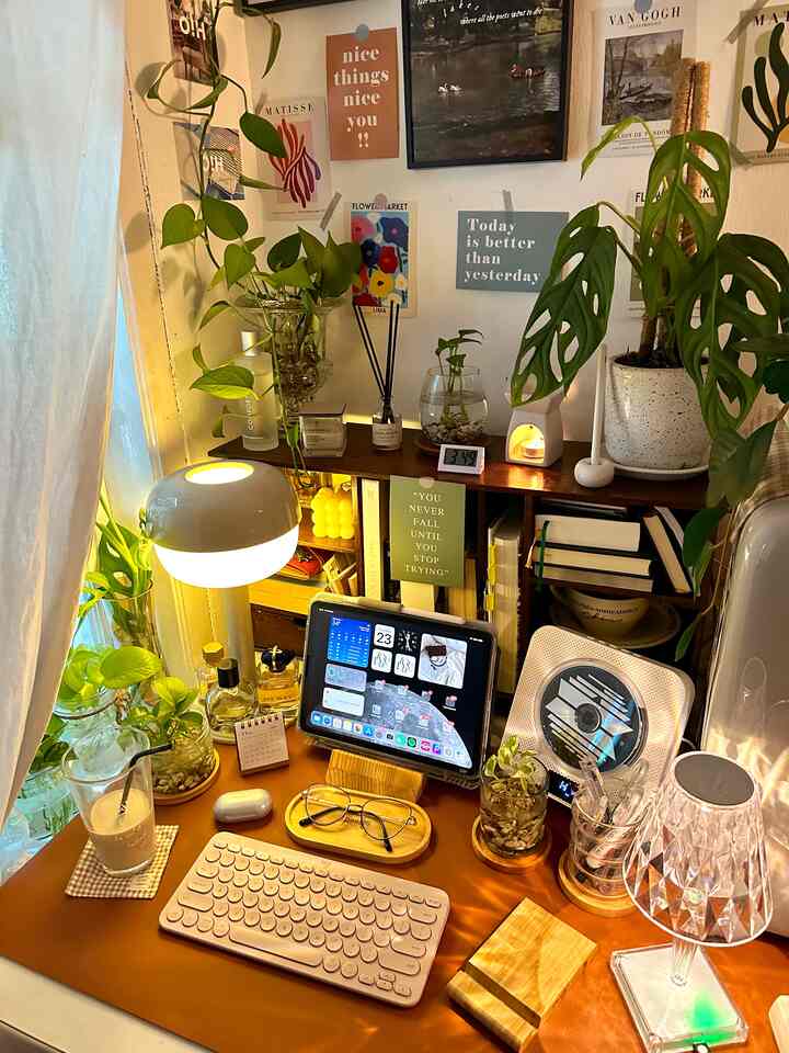 Evening vibe 🪴🌿💕

#dekorasiruangbelajar #areakerja #homedecor