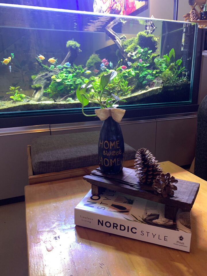 short form carousel card thumbnail