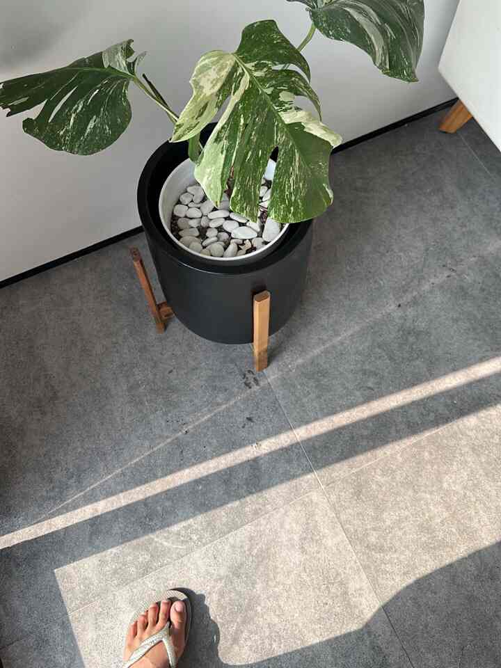 penutup pot hitam estetika #pottanahliat #vasbunga #potsaesthetic #tanaman