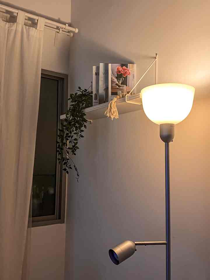 White-toned living room walls and curtain with a silver floor lamp and hanging plant creating a cozy atmosphere