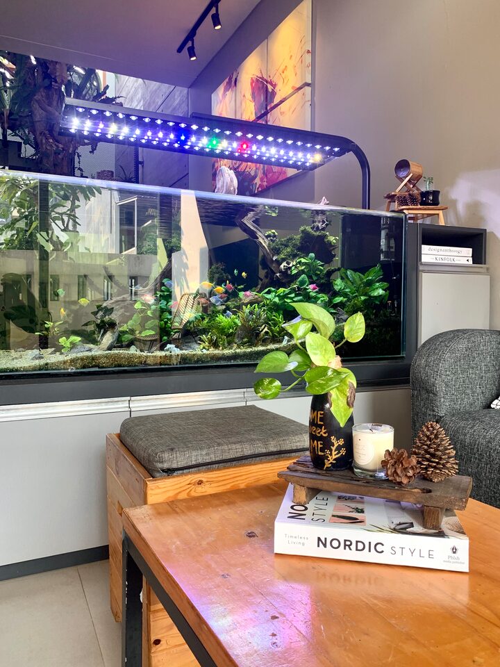 short form carousel card thumbnail